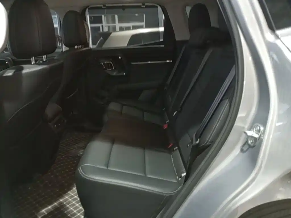 Haval Плюс новая энергия. — миниатюра 17