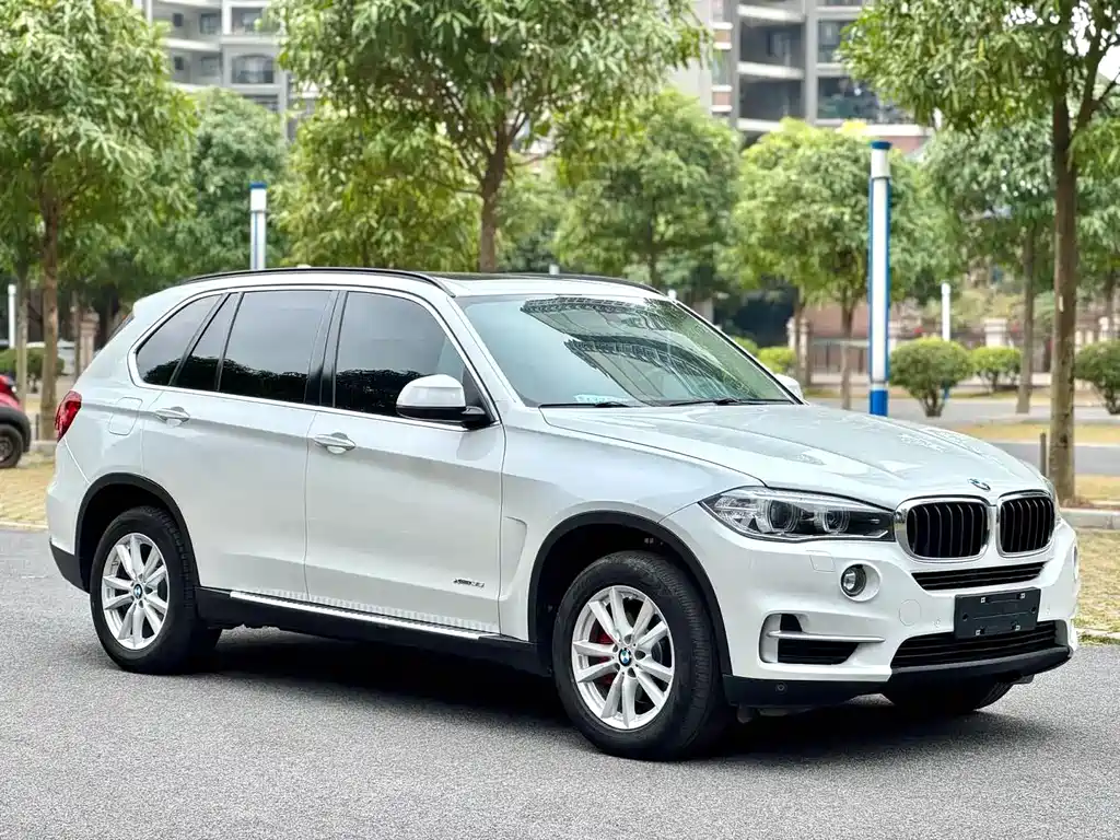 BMW X5 2014 xDrive35i Luxury