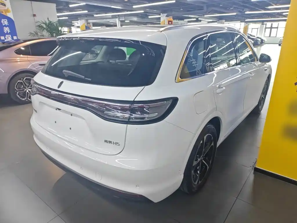 Shangjie Shangjie H5 — миниатюра 7