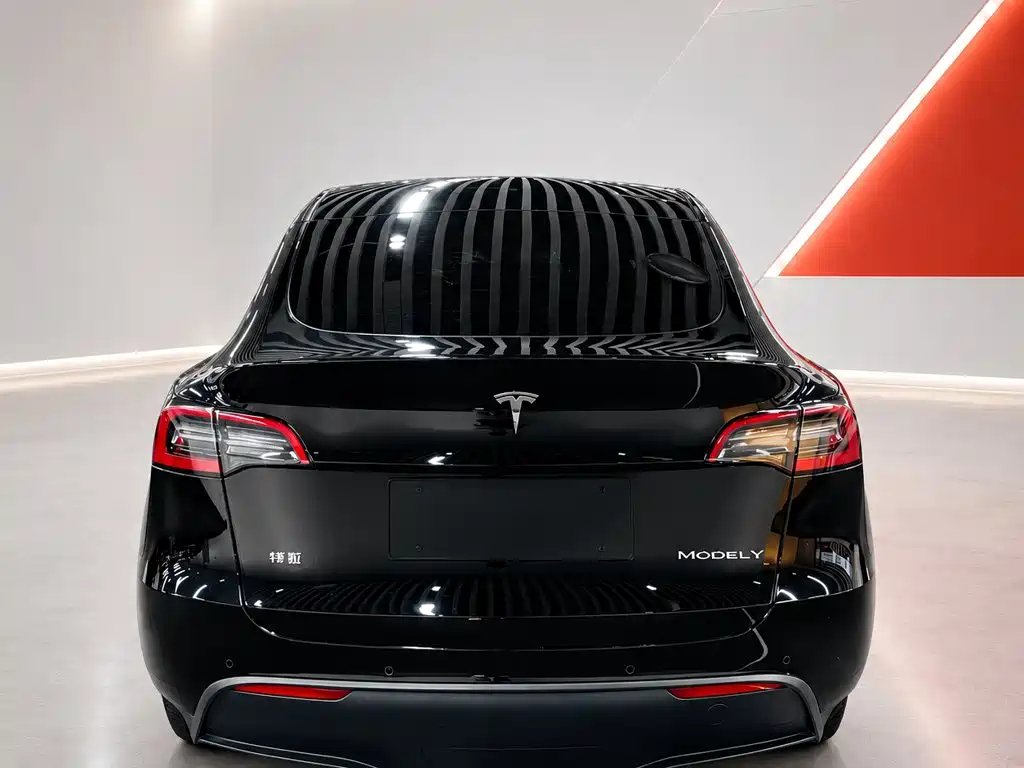 Tesla Model Y — миниатюра 5