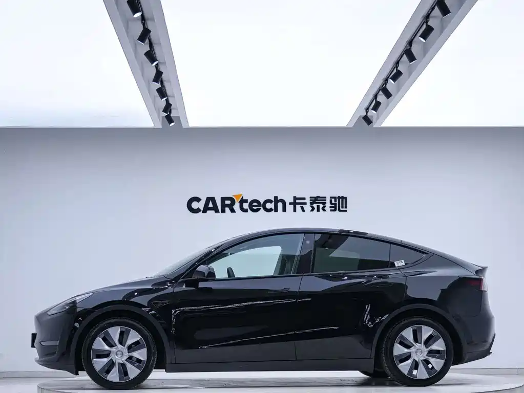 Tesla Model Y — миниатюра 2