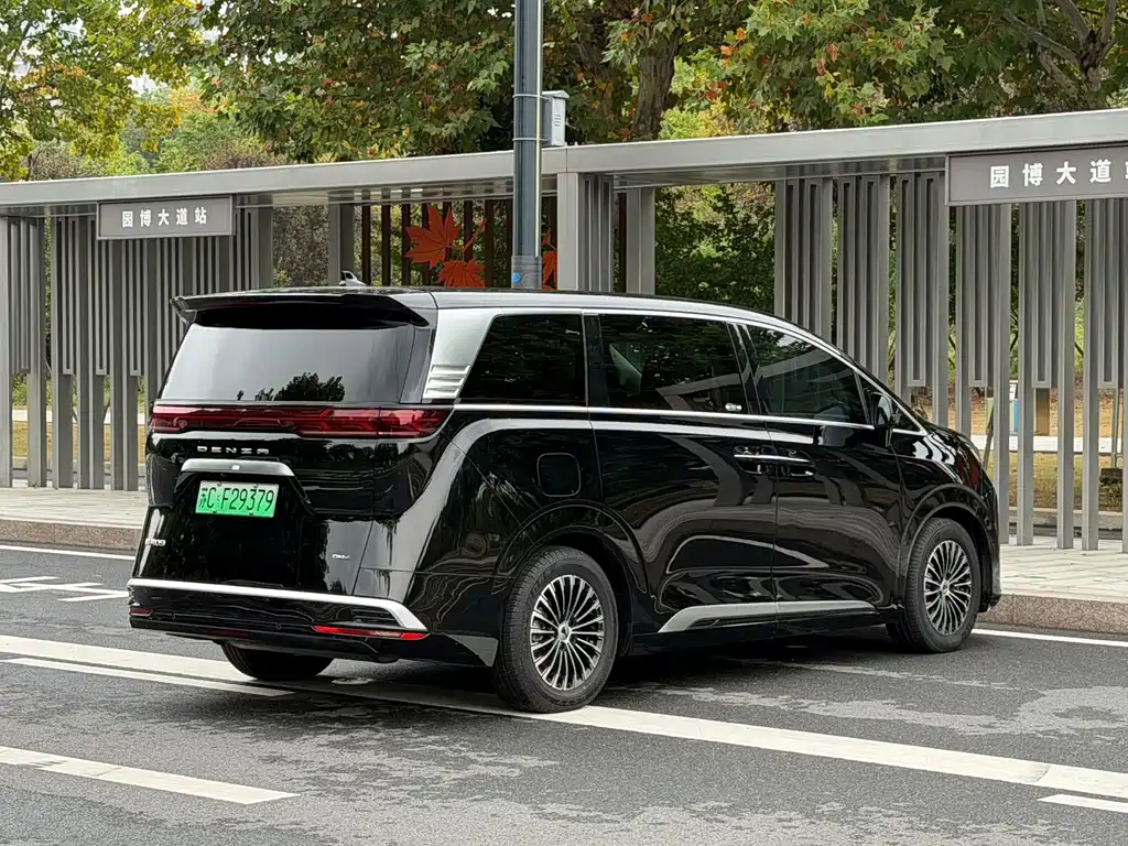 Denza Denza D9 — миниатюра 7