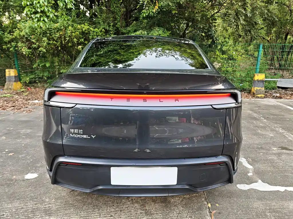 Tesla Model Y — миниатюра 7
