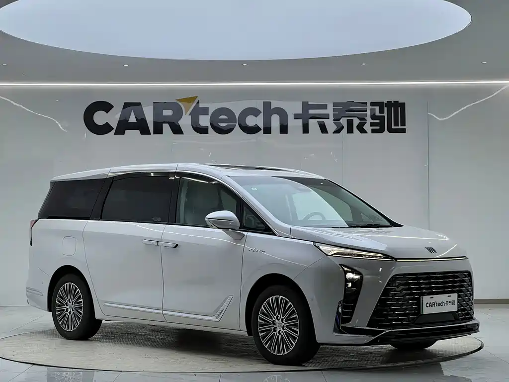Buick GL8 Hybrid LandKing Luxury Enjoy Edition 7 seats, фото 2