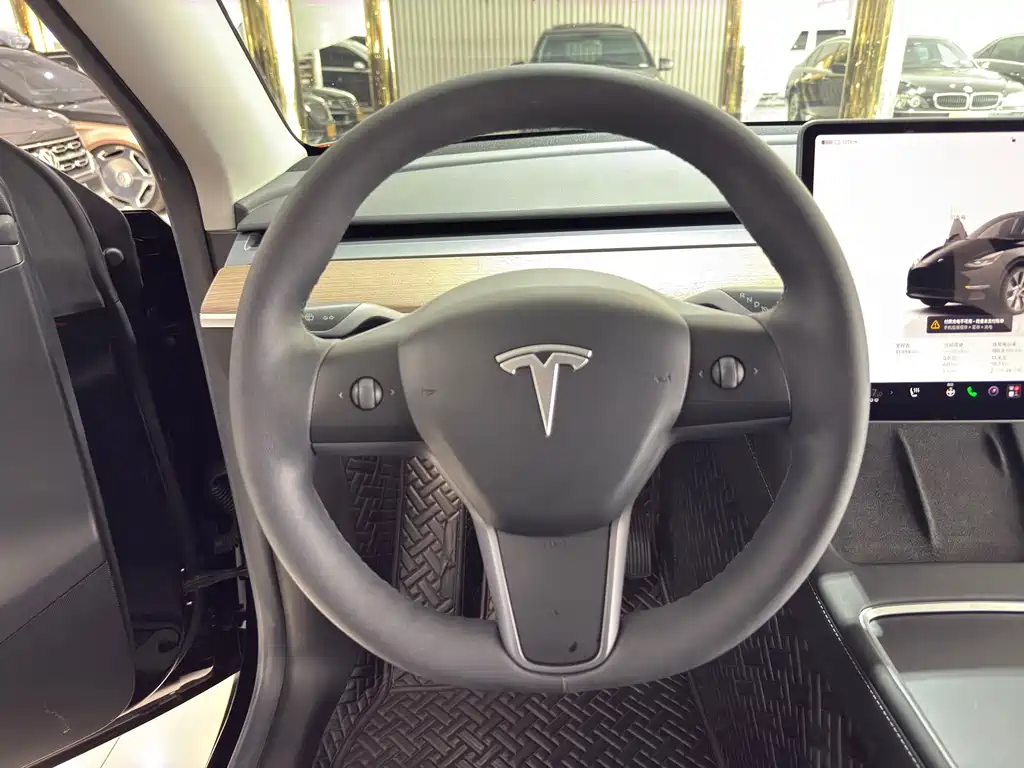 Tesla Model Y — миниатюра 15