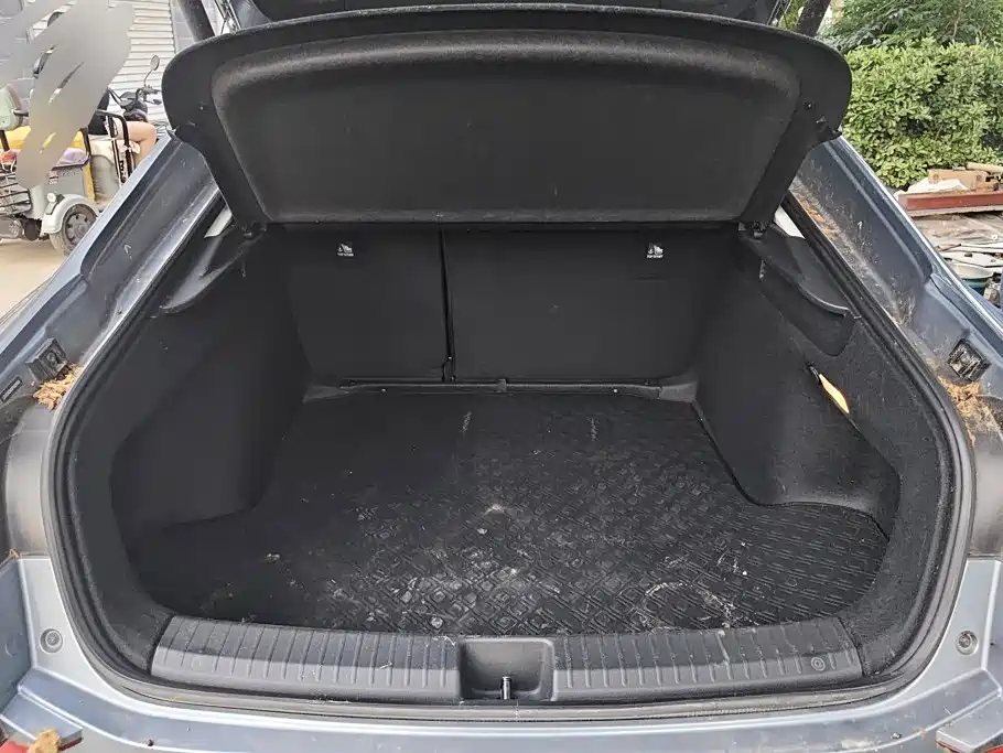 Volkswagen Lamando — миниатюра 4