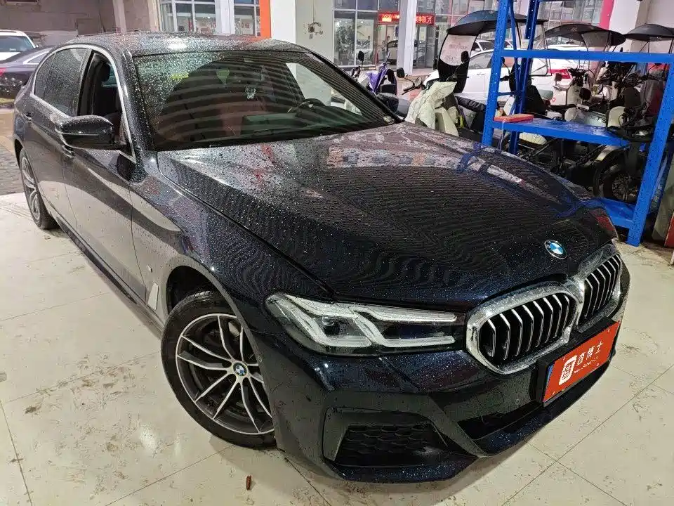 BMW 5 Series — миниатюра 2