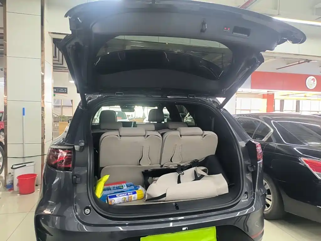 BYD Tang New Energy — миниатюра 19