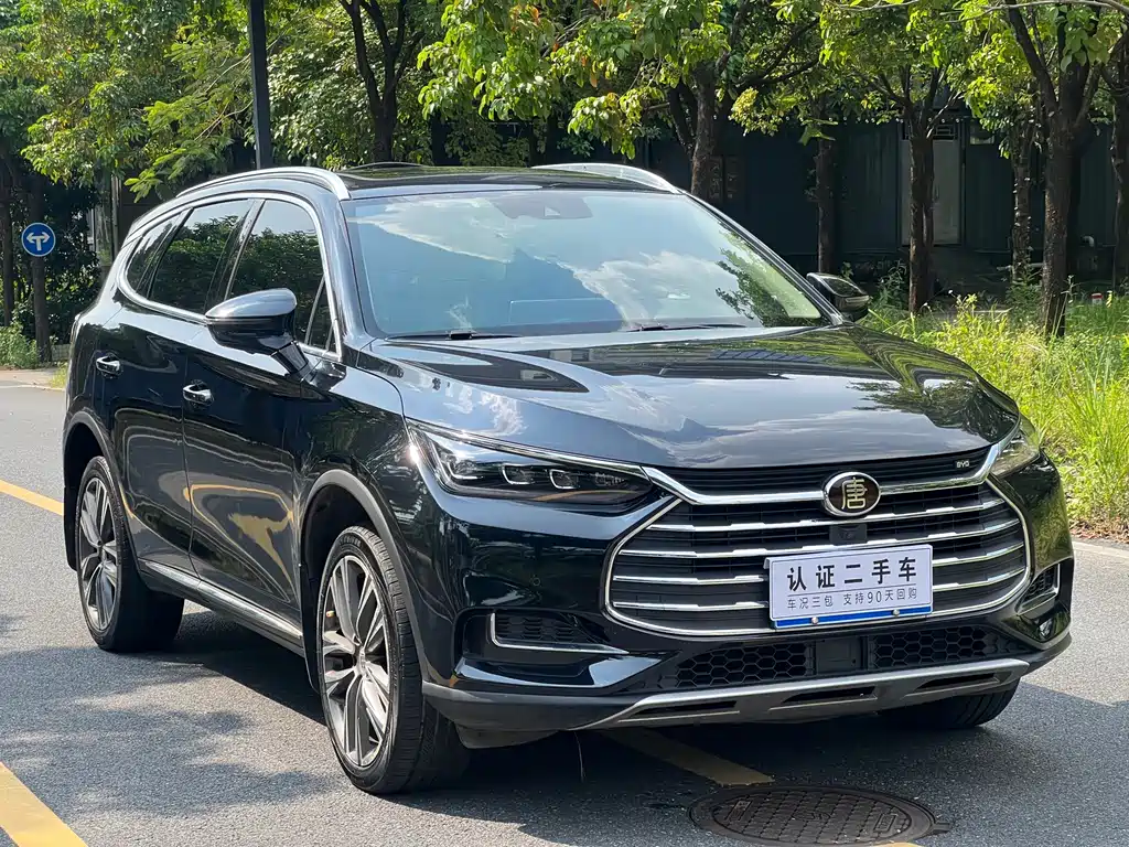 BYD Tang — миниатюра 3