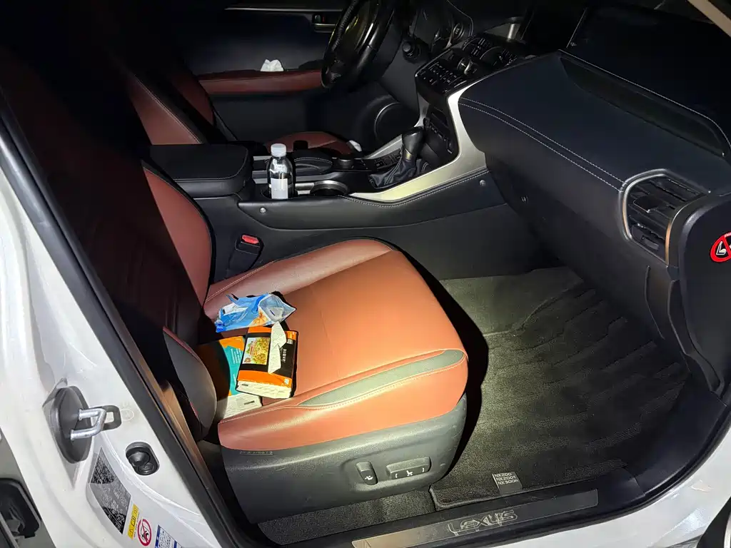 Lexus NX — миниатюра 5