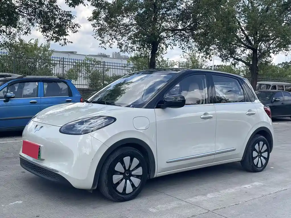 Wuling Bingo