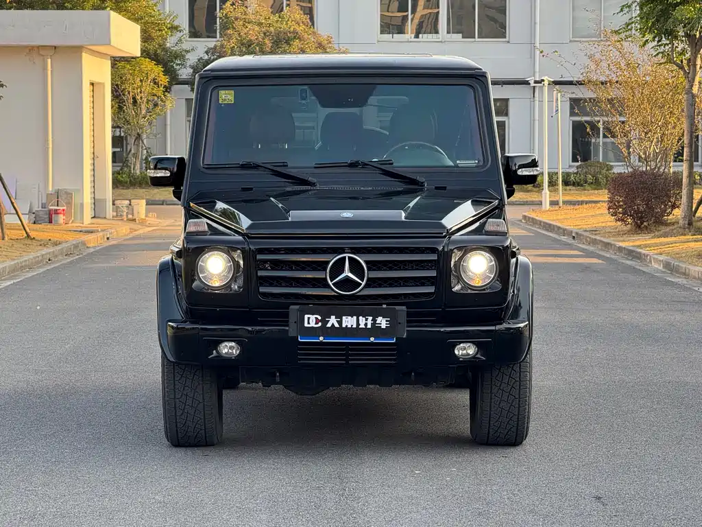 Mercedes-Benz G-Class G 2010 G 500