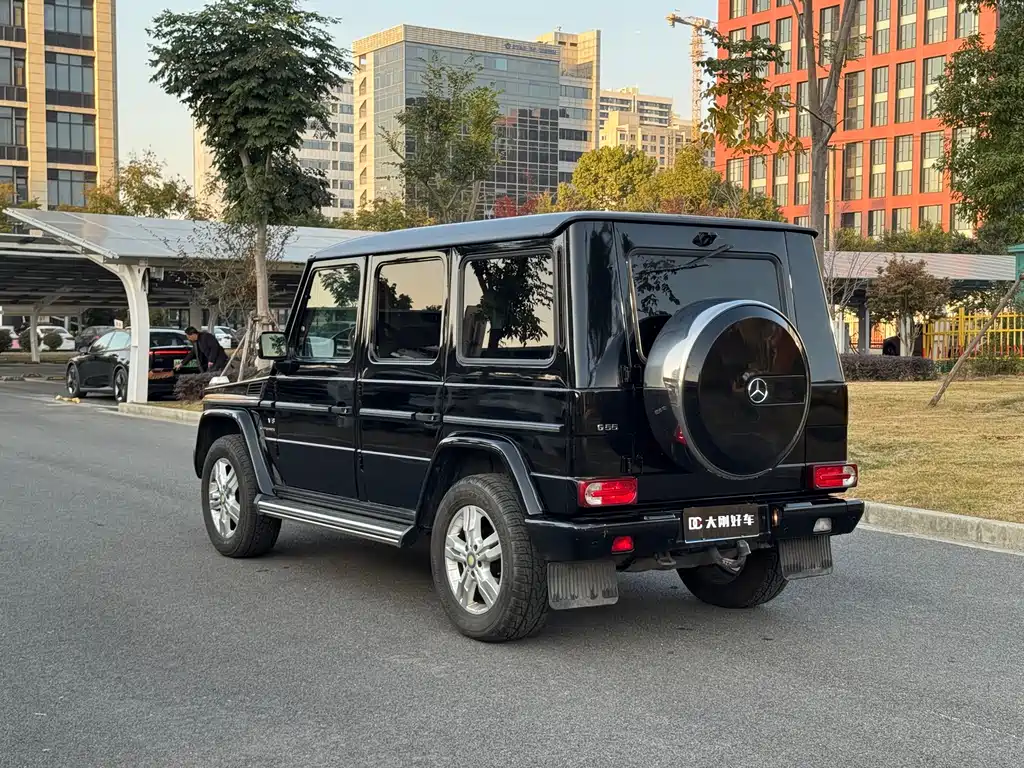 Mercedes-Benz G-Class G 2010 G 500