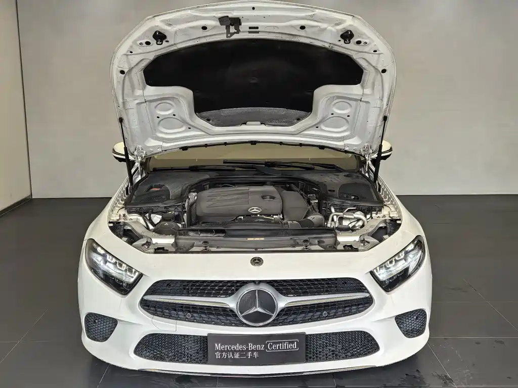 Mercedes-Benz CLS — миниатюра 10