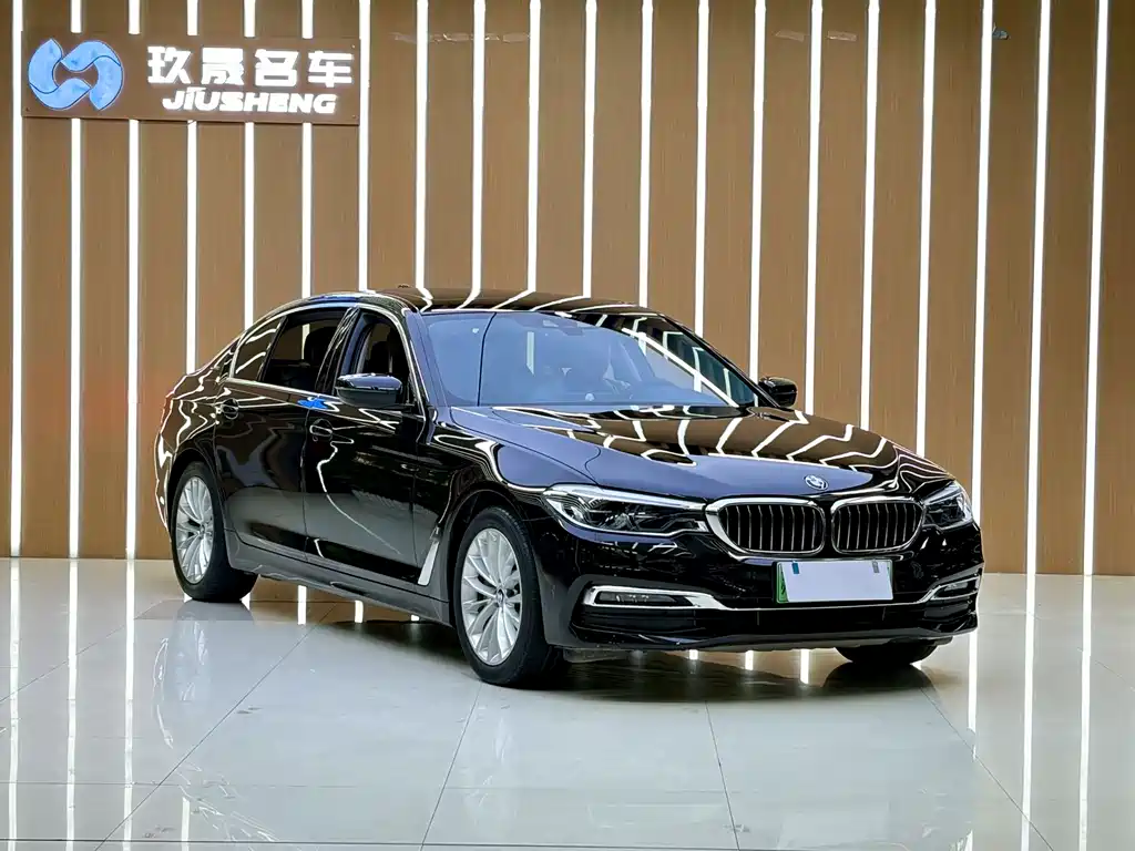 BMW 5 Series New Energy — миниатюра 3