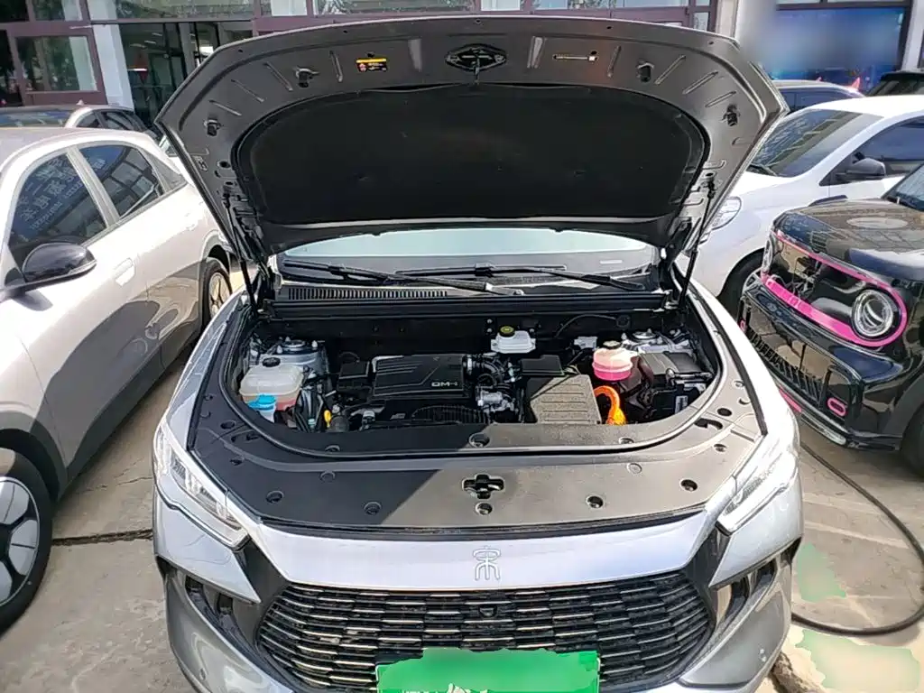 BYD Pro New Energy — миниатюра 20