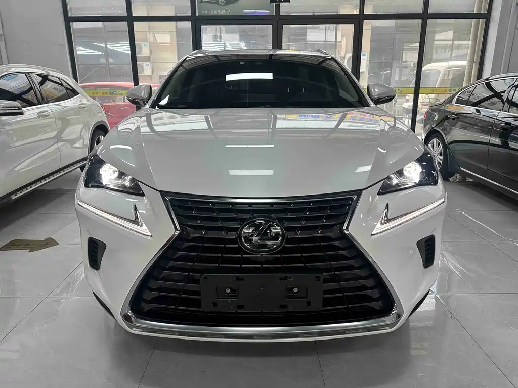 Lexus NX — миниатюра 2