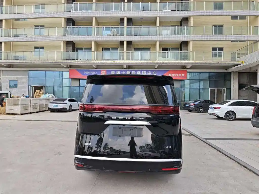 Denza Denza D9 — миниатюра 4