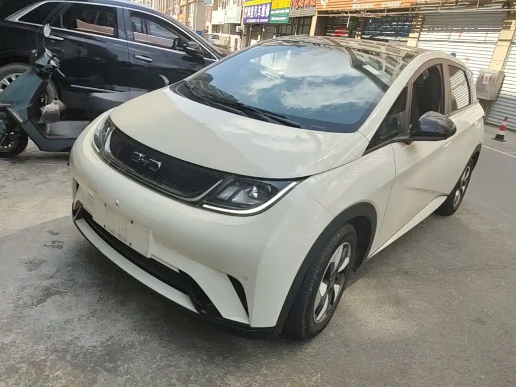 BYD Dolphin — миниатюра 2