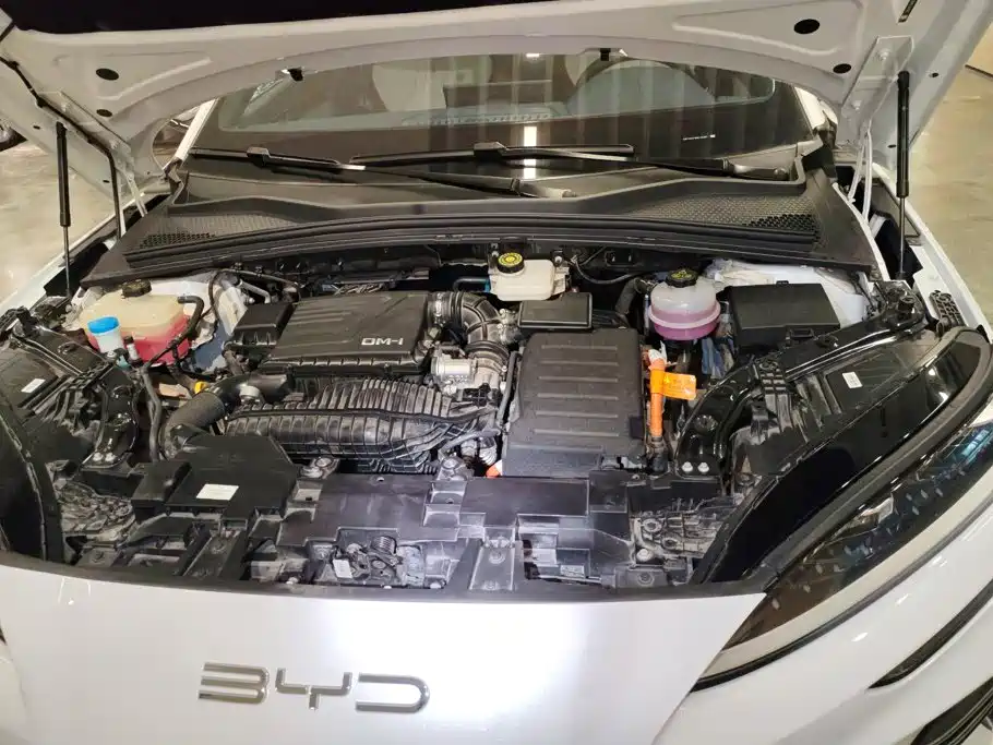 BYD PLUS New Energy — миниатюра 10