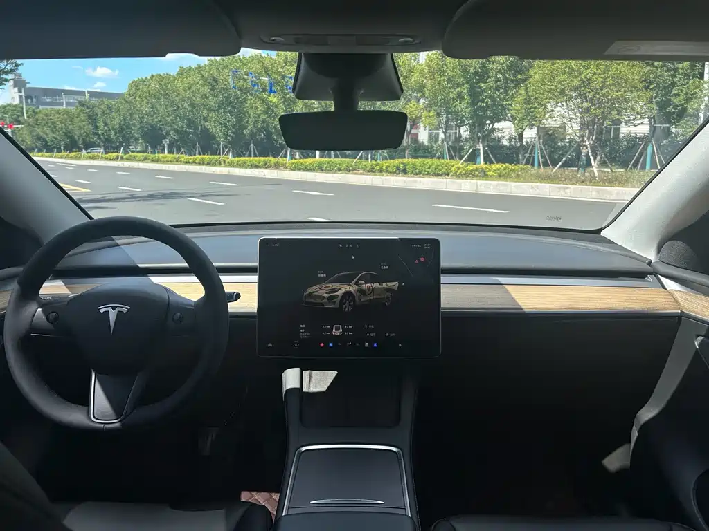 Tesla Model Y — миниатюра 7
