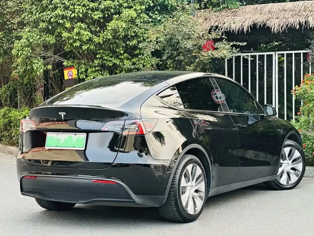 Tesla Model Y — миниатюра 9