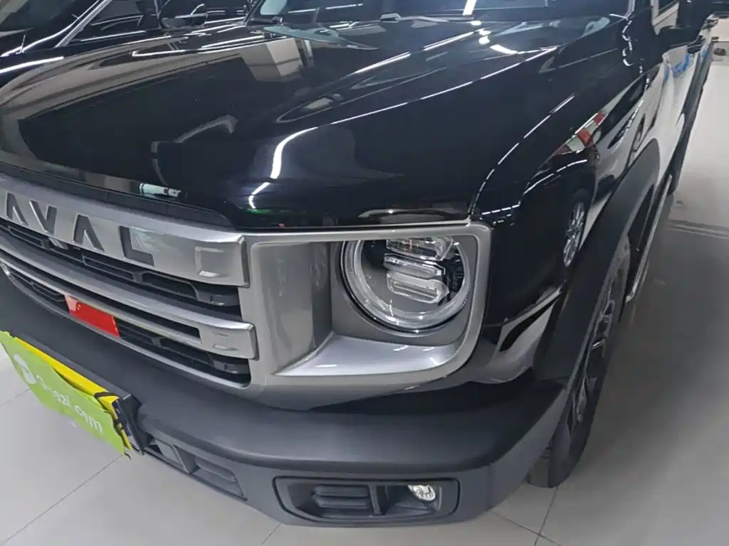 Haval Big Dog — миниатюра 24