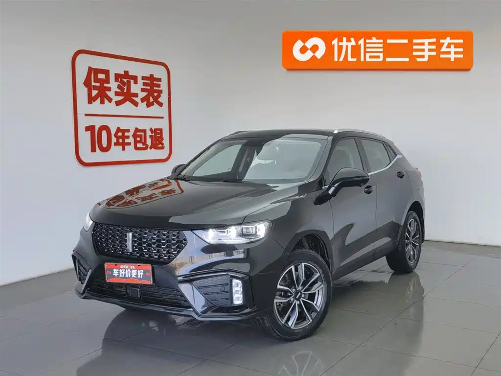 WEI PAI WEI BRAND VV5