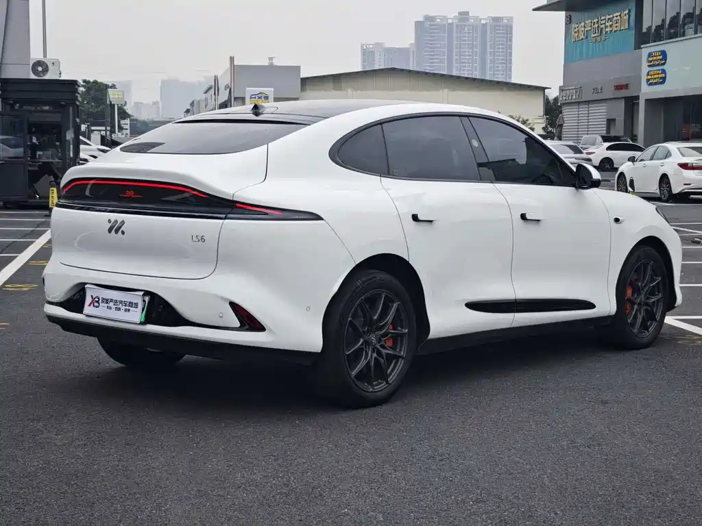 IM IM LS6 — миниатюра 7
