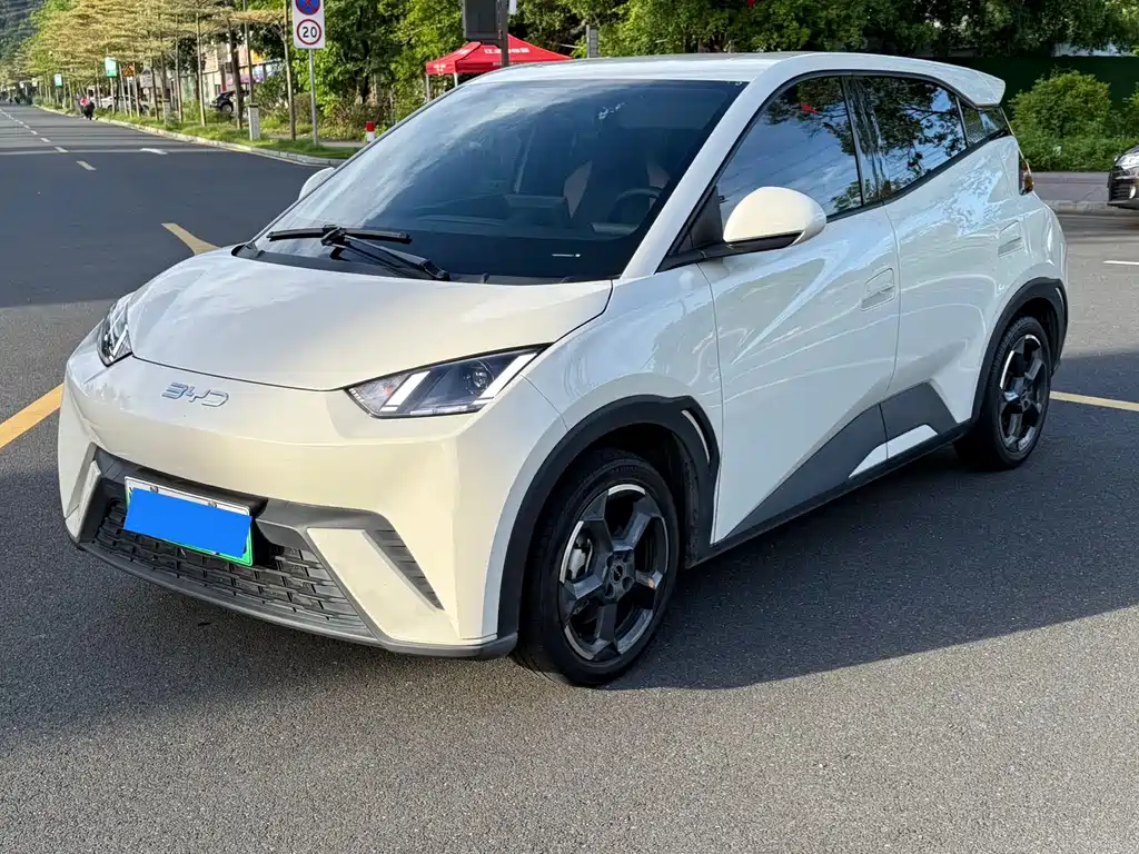 BYD Seagull 2024 305km Freedom
