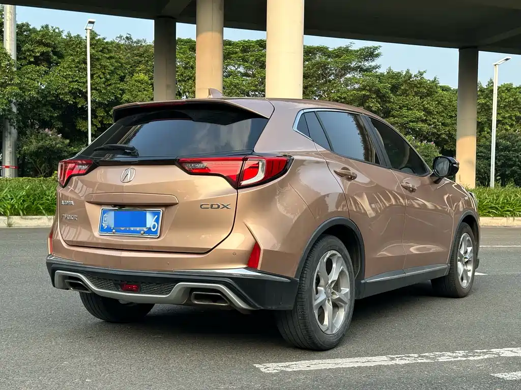Acura CDX — миниатюра 15