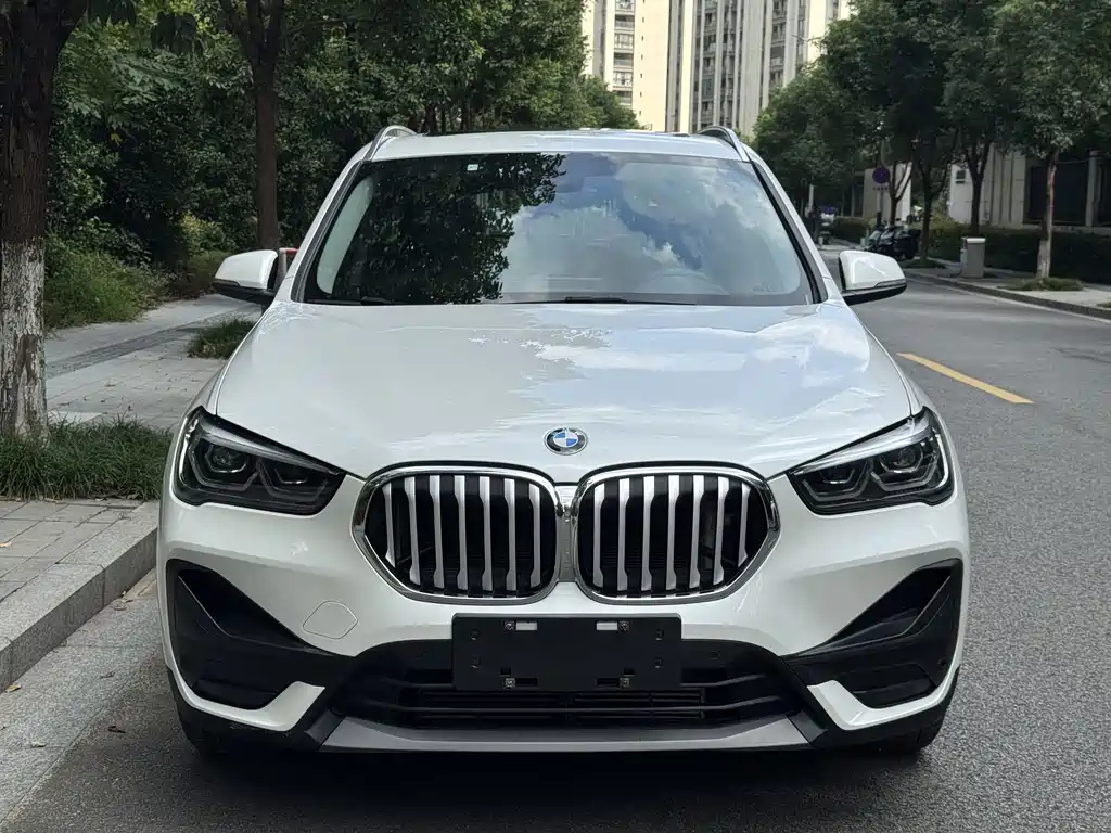 BMW X1 — миниатюра 2