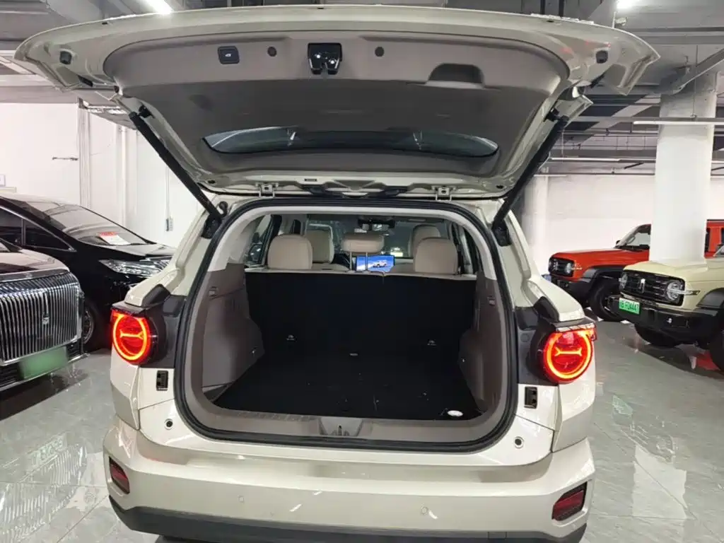 Haval Big Dog PLUS — миниатюра 19