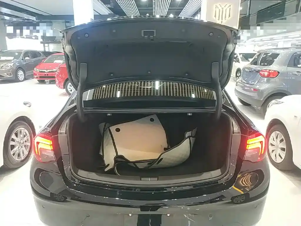 Buick Regal — миниатюра 19