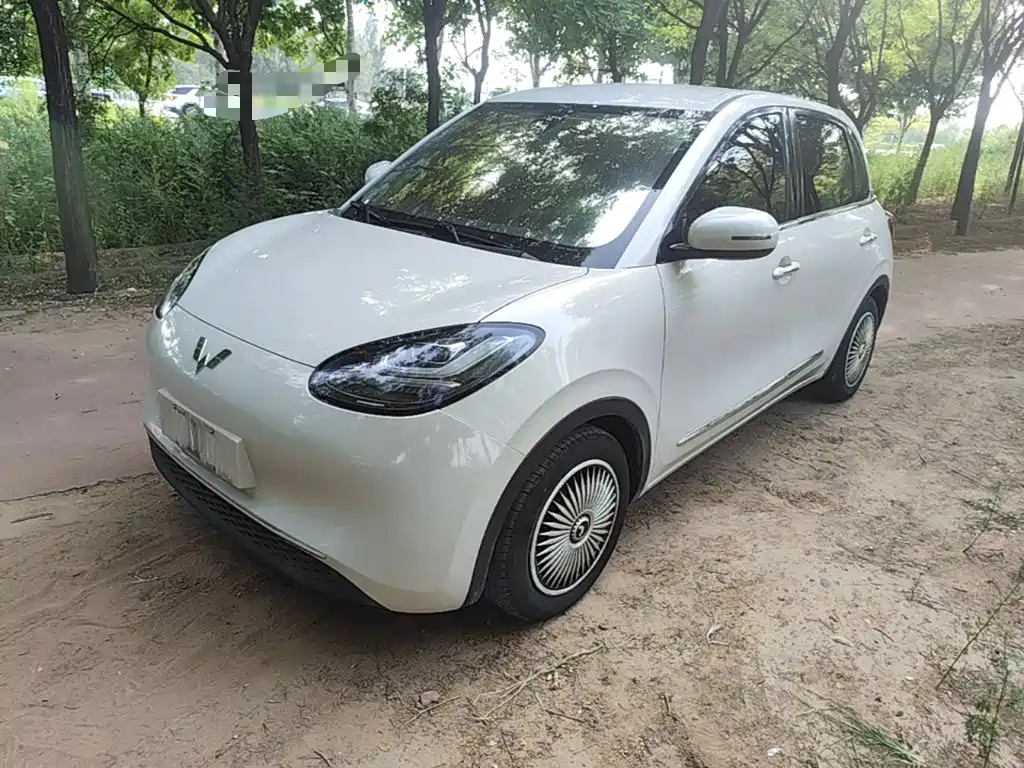 Wuling Binguo 2023 203km