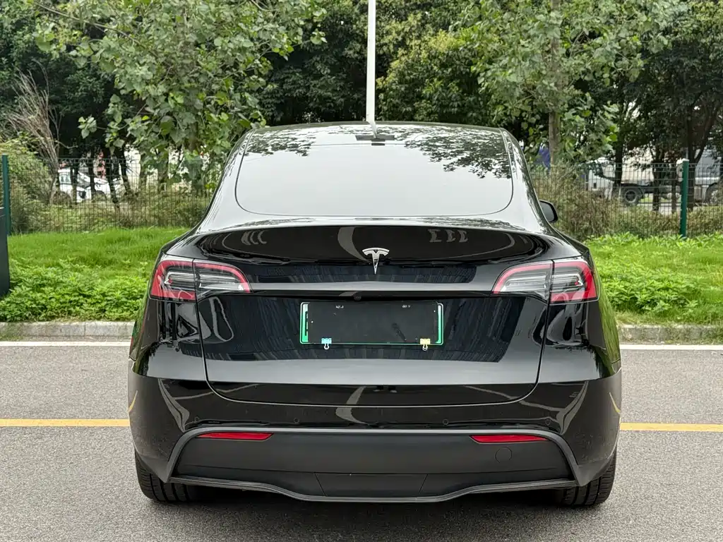 Tesla Model Y — миниатюра 8