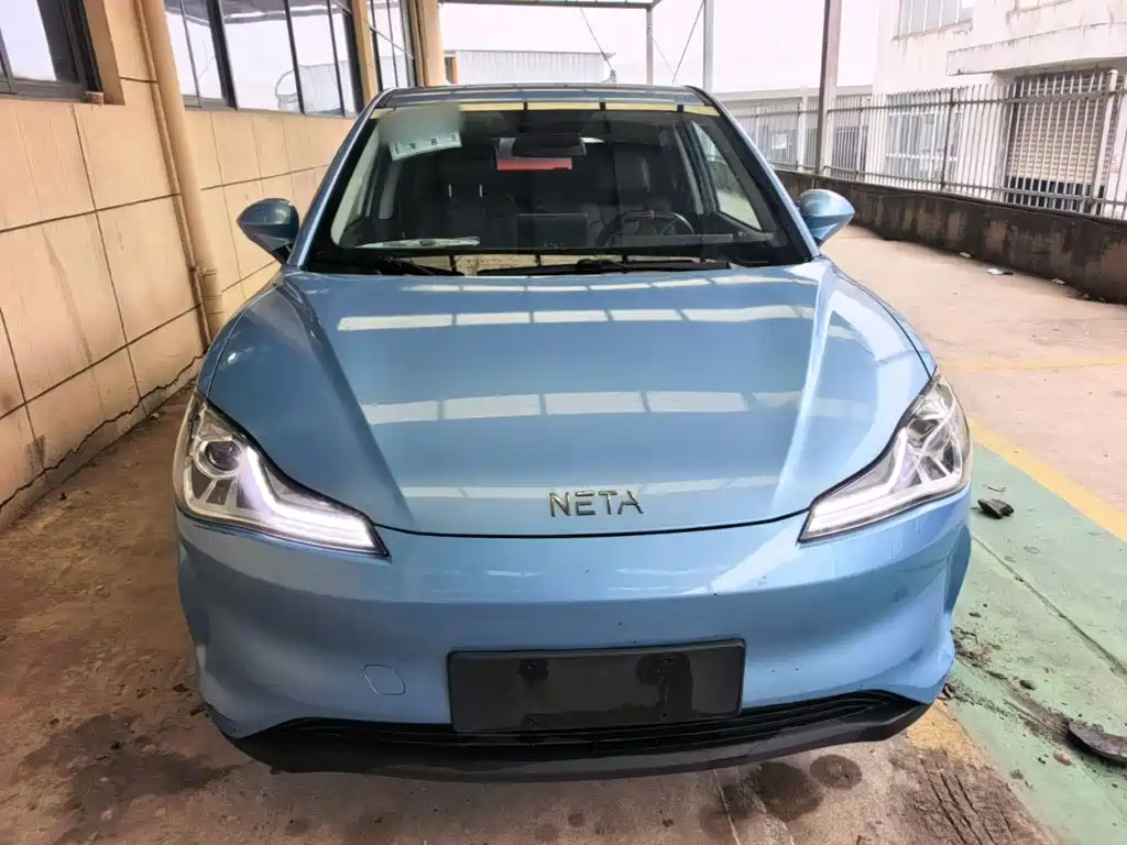 Neta Neta V — миниатюра 3