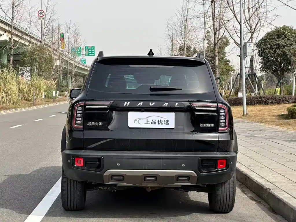 HAVAL BIG DOG