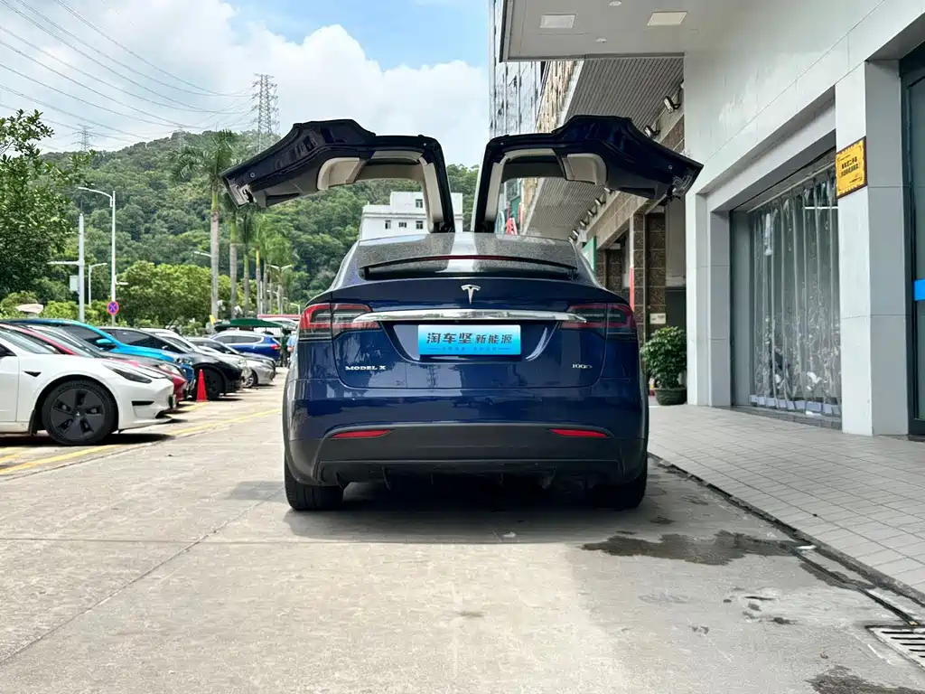 Tesla Model X 2017 Model X 100D