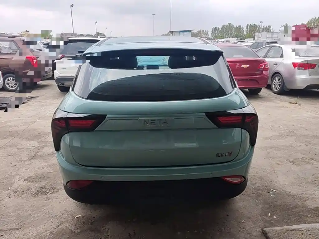 Neta Neta V — миниатюра 6
