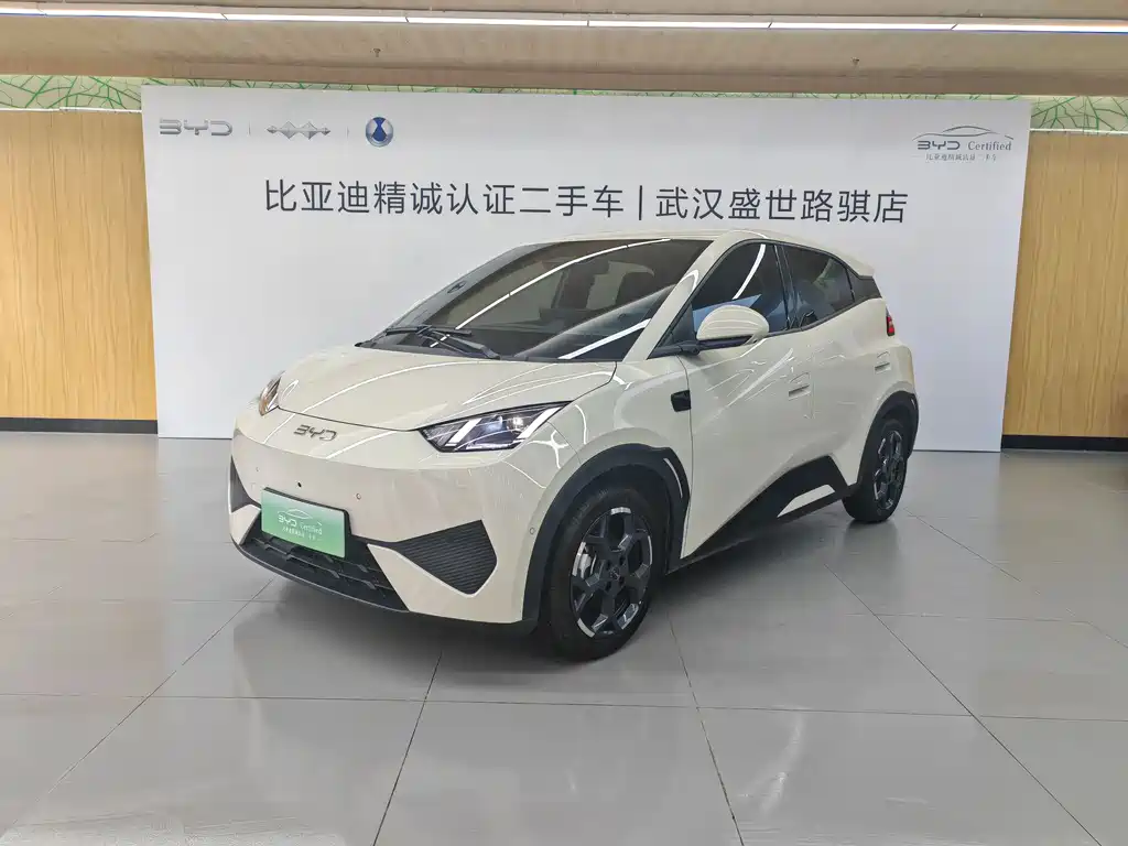 BYD Seagull 2025 Smart Drive Edition 305km Free Edition