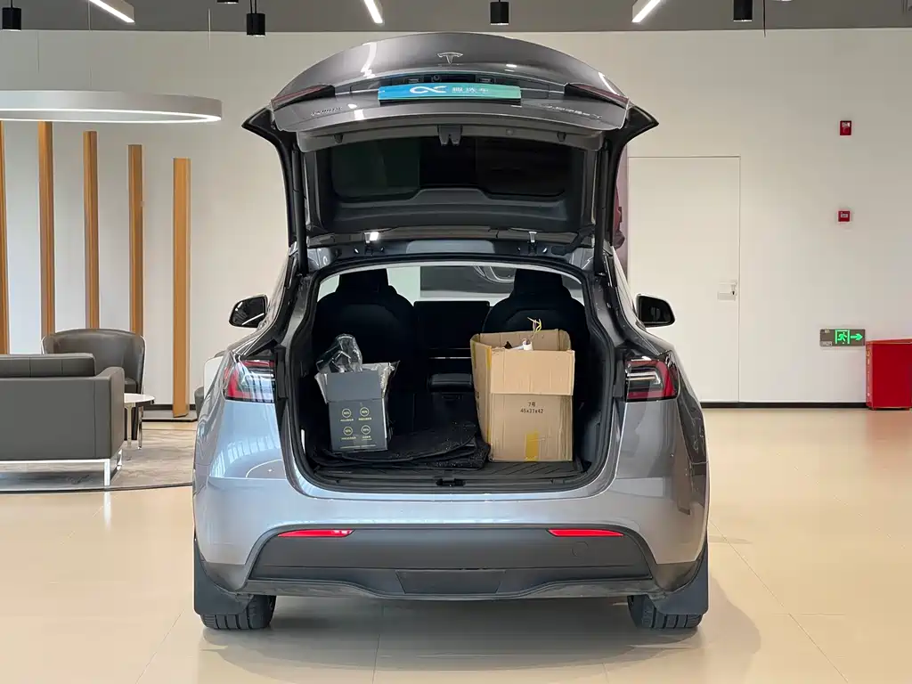 Tesla Model Y — миниатюра 16