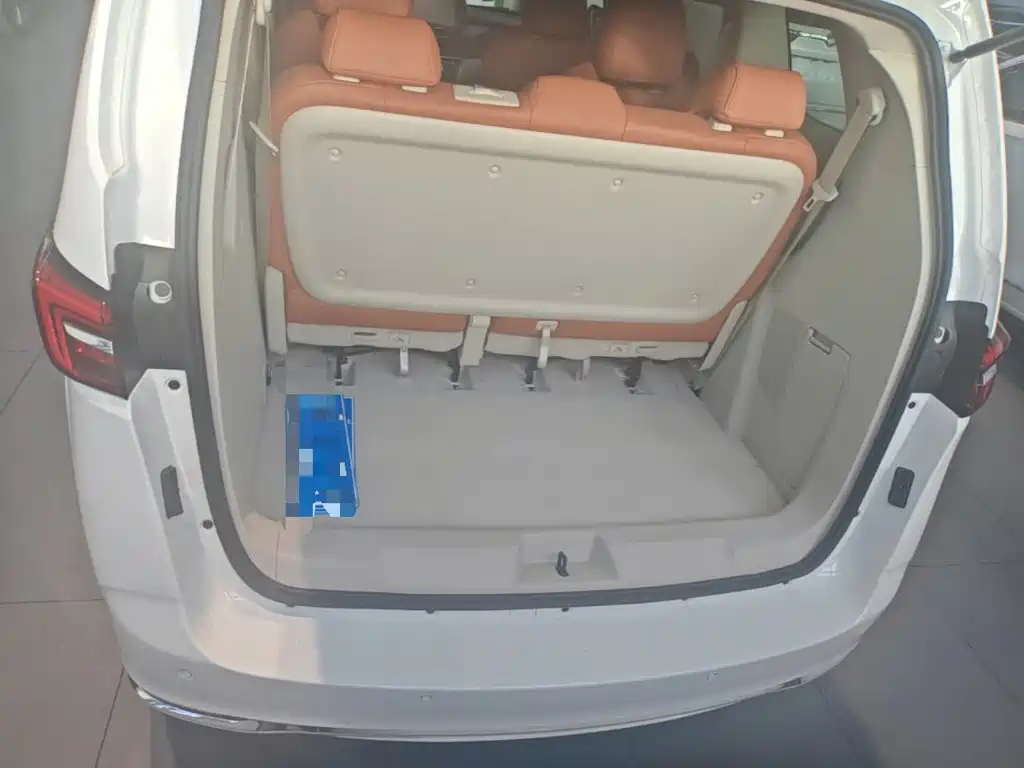 Buick GL8 — миниатюра 19