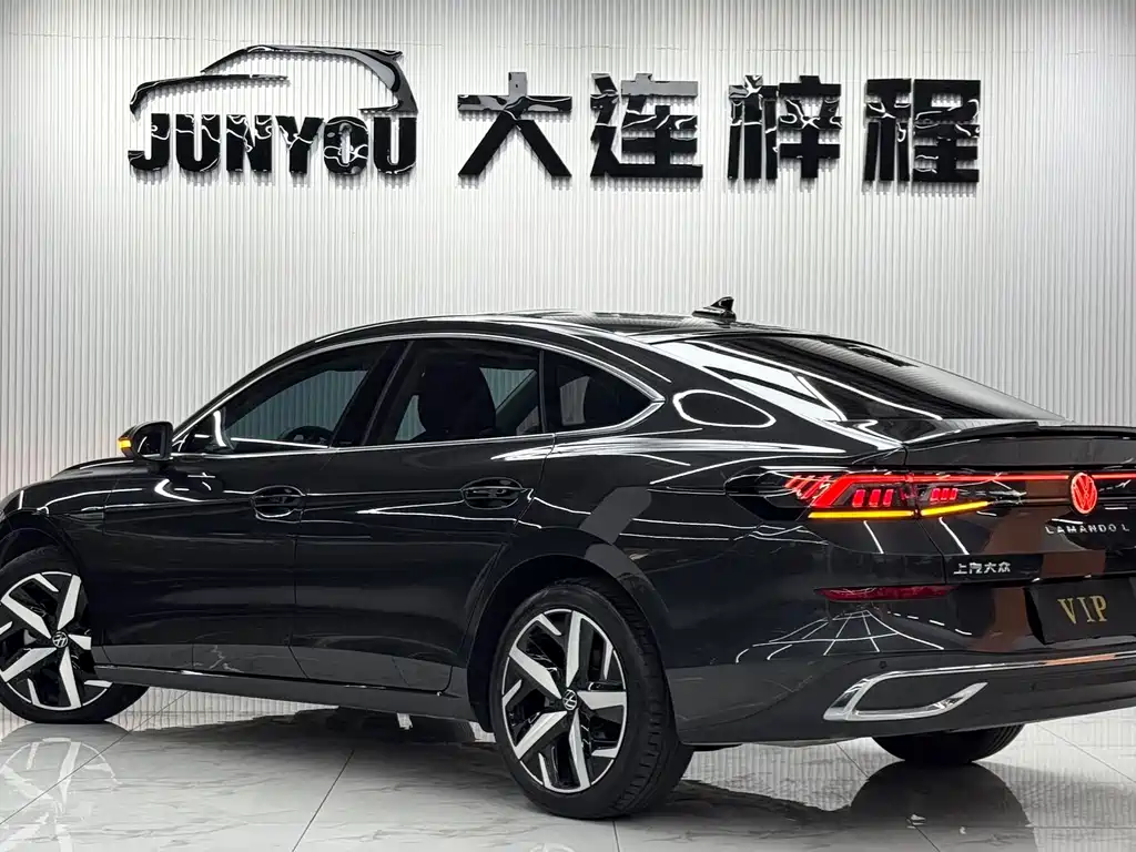 Volkswagen Lamando — миниатюра 6