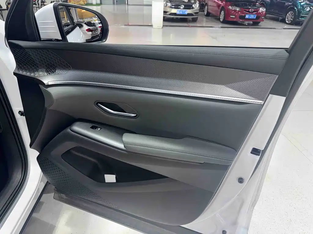 BYD Pro New Energy — миниатюра 22