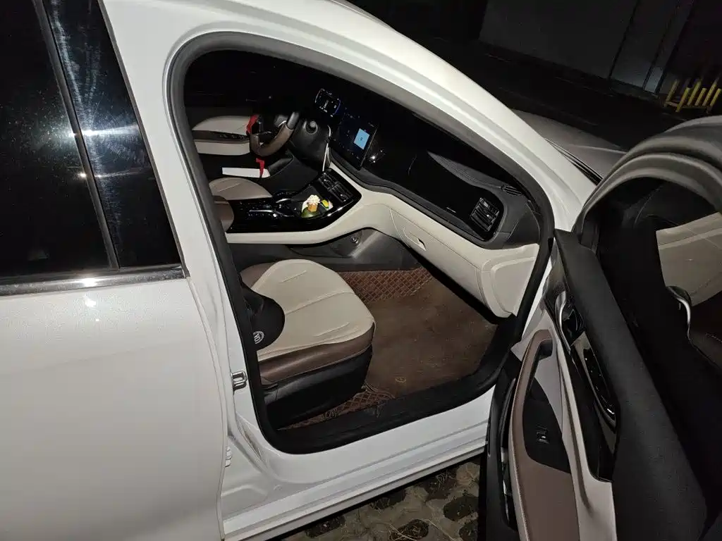 BYD Qin PLUS — миниатюра 19