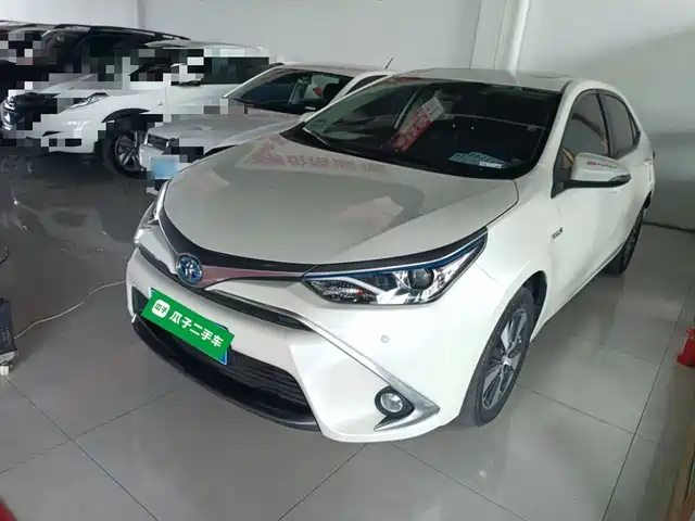TOYOTA LEI LING 2019