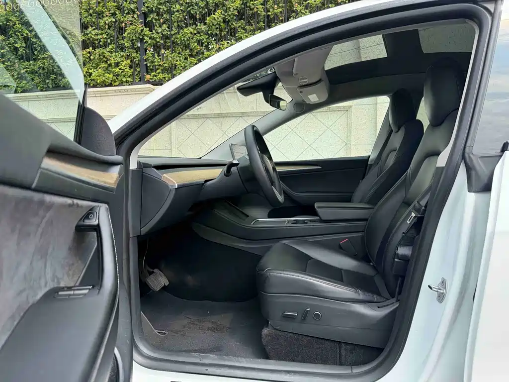 Tesla Model Y — миниатюра 6
