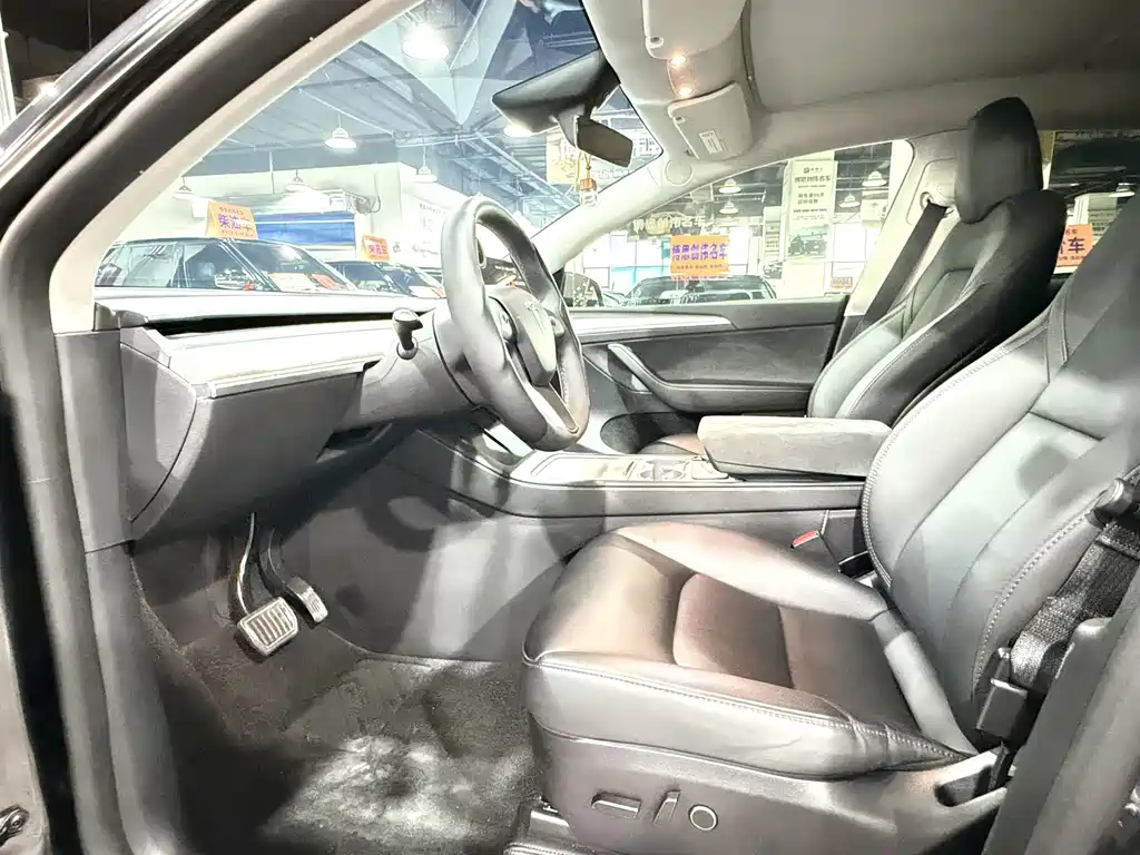 Tesla Model Y — миниатюра 4