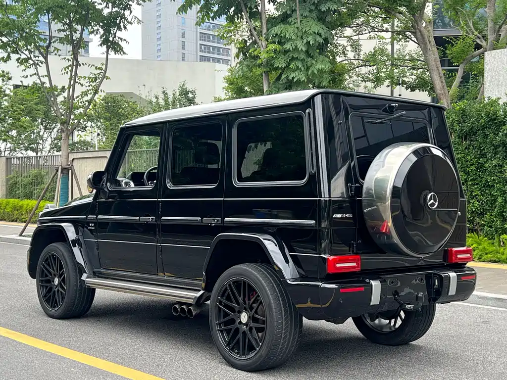 Mercedes-Benz G-Class A MG G AMG 2009 AMG G 55